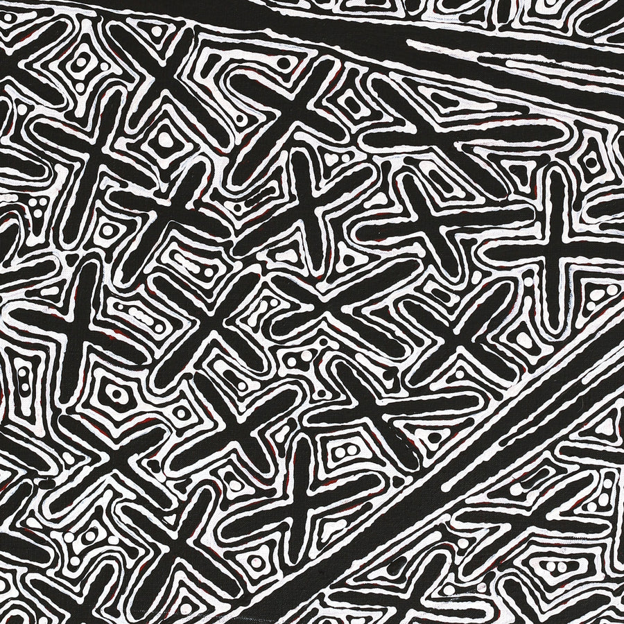 Aboriginal Artwork by Kenneth Jungarrayi Martin, Ngatijirri Jukurrpa (Budgerigar Dreaming), 91x61cm