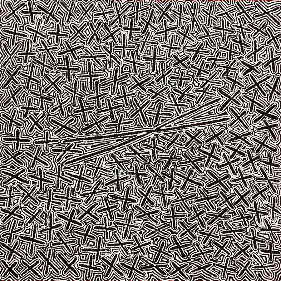 Aboriginal Artwork by Kenneth Jungarrayi Martin, Ngatijirri Jukurrpa (Budgerigar Dreaming), 91x91cm