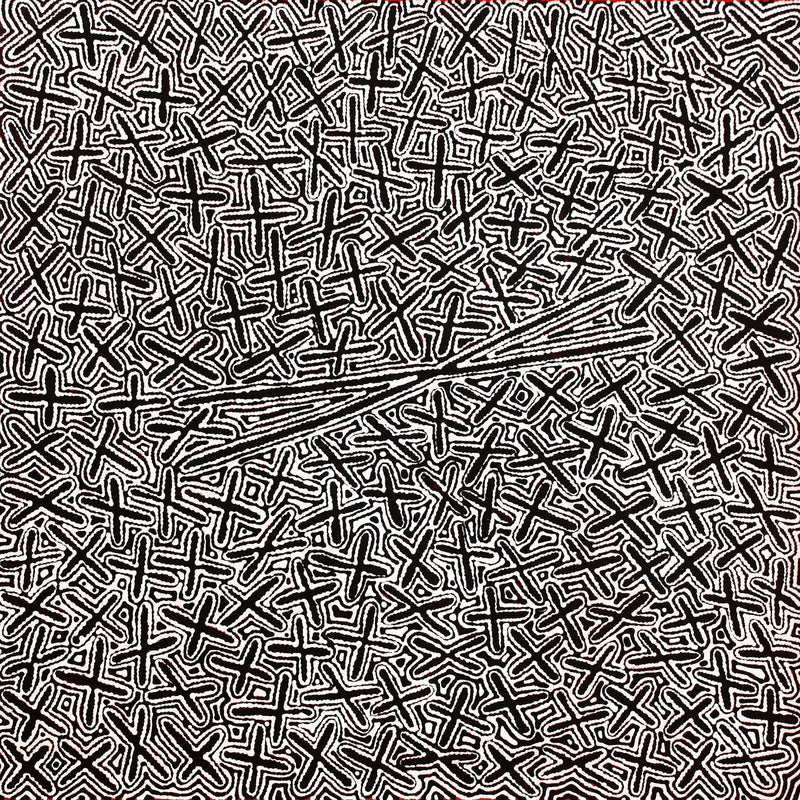 Aboriginal Artwork by Kenneth Jungarrayi Martin, Ngatijirri Jukurrpa (Budgerigar Dreaming), 91x91cm