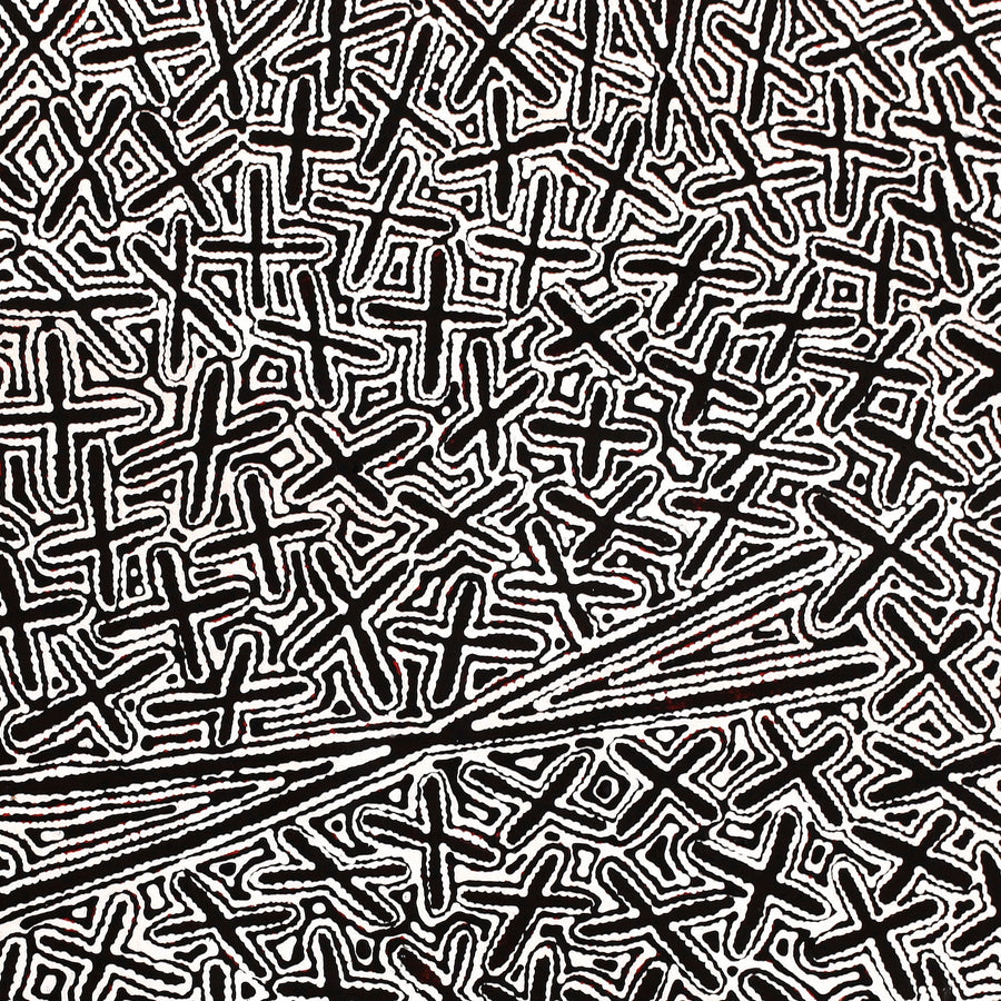 Aboriginal Artwork by Kenneth Jungarrayi Martin, Ngatijirri Jukurrpa (Budgerigar Dreaming), 91x91cm