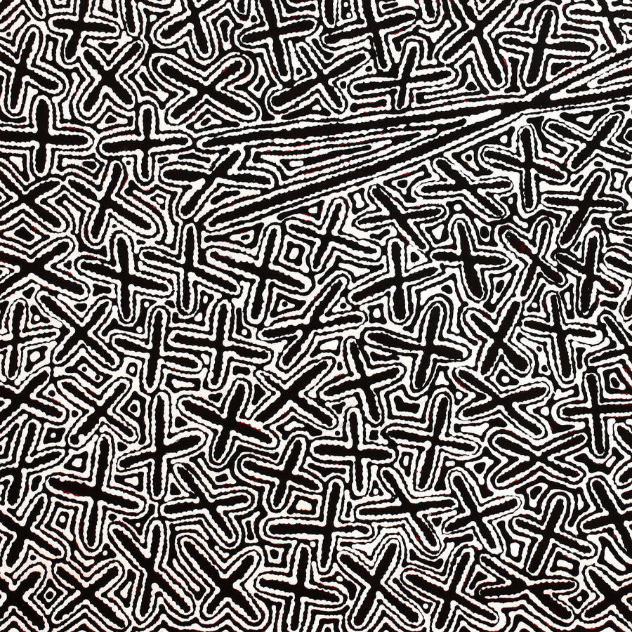 Aboriginal Artwork by Kenneth Jungarrayi Martin, Ngatijirri Jukurrpa (Budgerigar Dreaming), 91x91cm