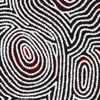 Aboriginal Artwork by Leah Nampijinpa Sampson, Ngapa Jukurrpa - Pirlinyarnu, 122x30cm