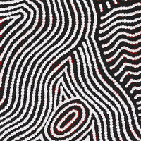 Aboriginal Artwork by Leah Nampijinpa Sampson, Ngapa Jukurrpa - Pirlinyarnu, 122x30cm