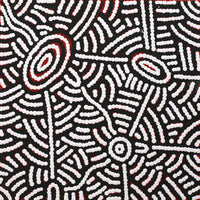 Aboriginal Artwork by Leah Nampijinpa Sampson, Ngapa Jukurrpa - Pirlinyarnu, 30x30cm