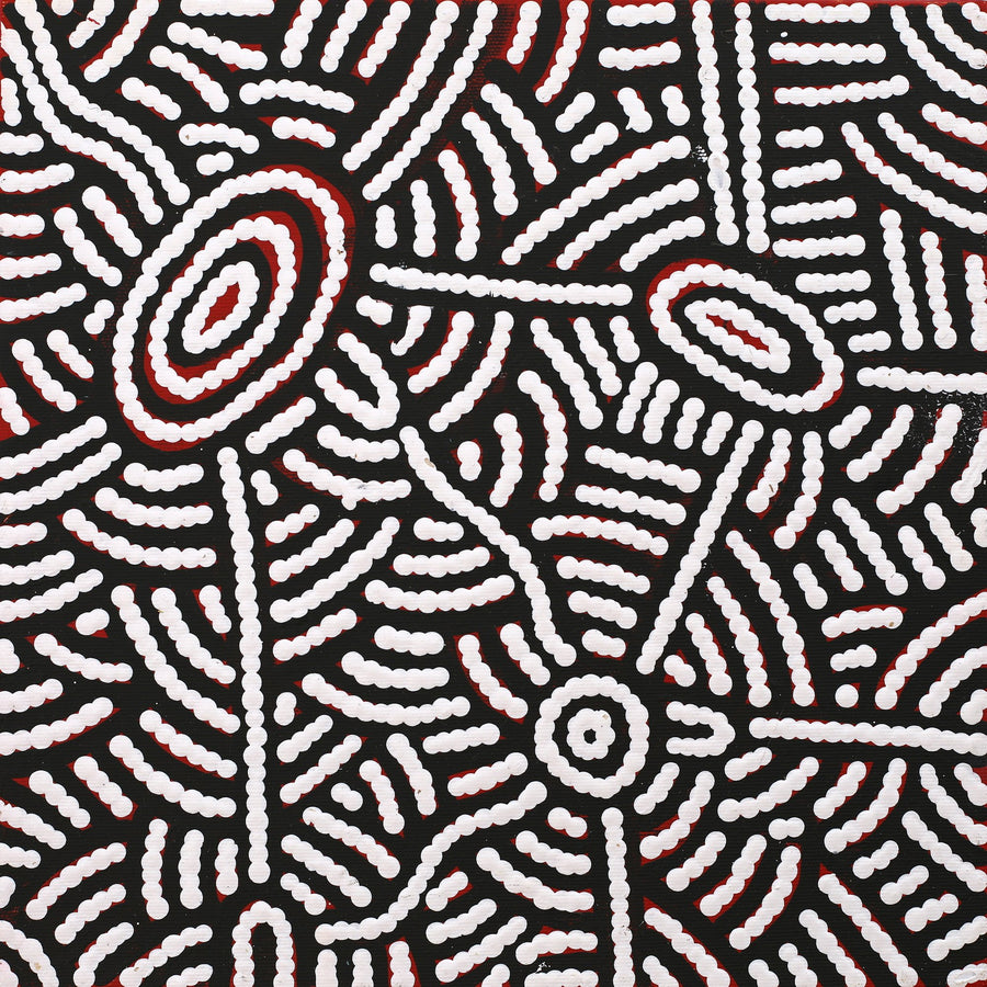 Aboriginal Artwork by Leah Nampijinpa Sampson, Ngapa Jukurrpa - Pirlinyarnu, 30x30cm
