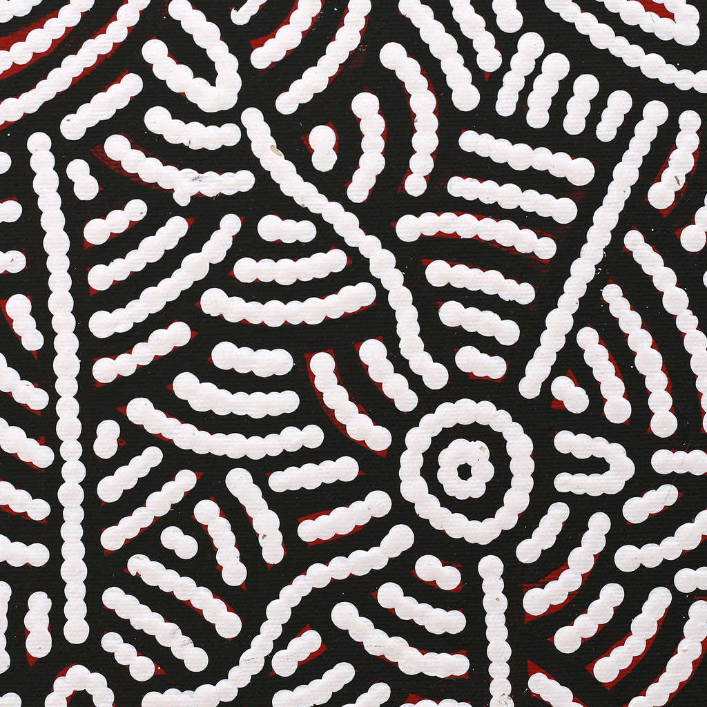 Aboriginal Artwork by Leah Nampijinpa Sampson, Ngapa Jukurrpa - Pirlinyarnu, 30x30cm