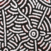 Aboriginal Artwork by Leah Nampijinpa Sampson, Ngapa Jukurrpa - Pirlinyarnu, 30x30cm