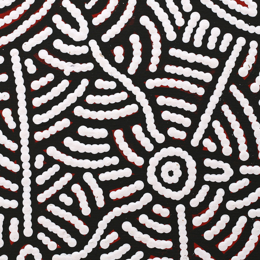 Aboriginal Artwork by Leah Nampijinpa Sampson, Ngapa Jukurrpa - Pirlinyarnu, 30x30cm