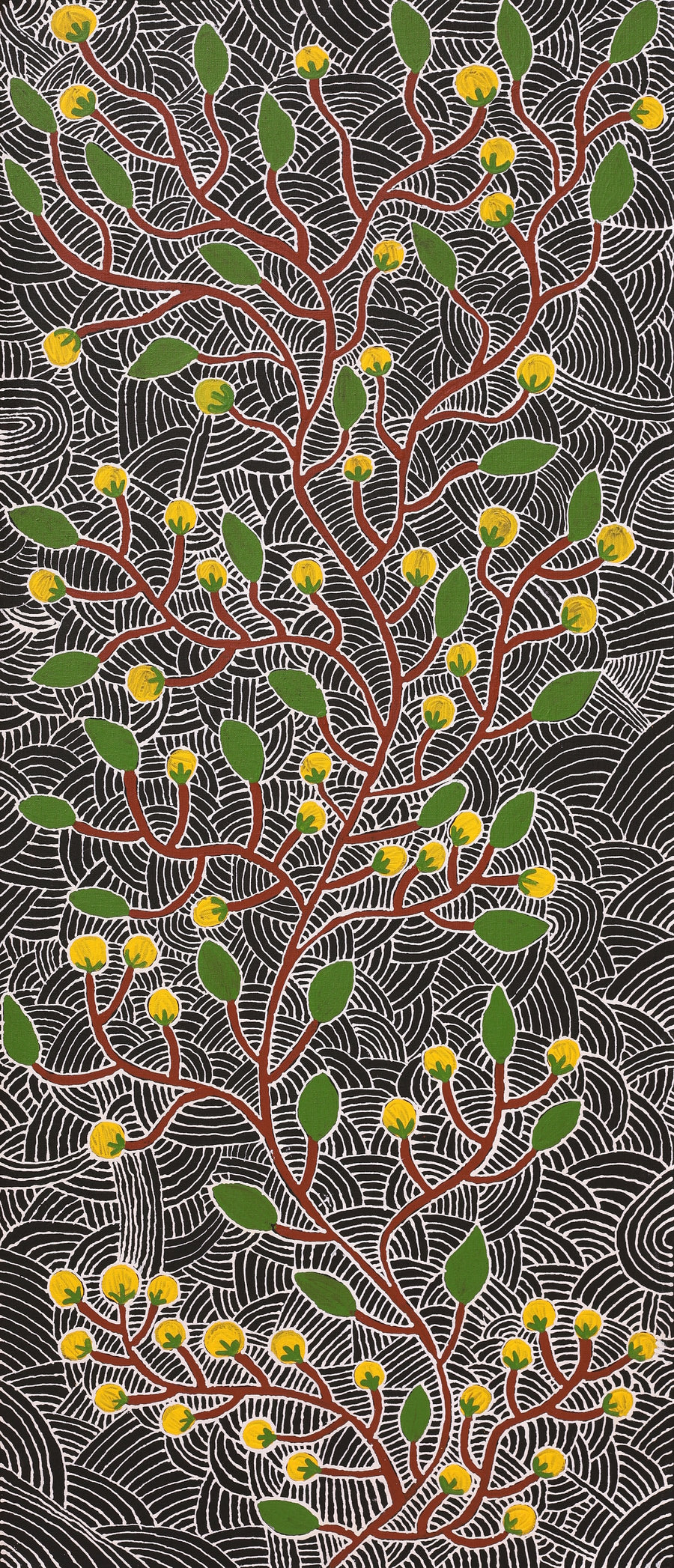 Aboriginal Artwork by Leah Nampijinpa Sampson, Wanakiji Jukurrpa (Bush Tomato Dreaming), 107x46cm