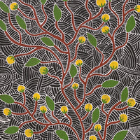 Aboriginal Artwork by Leah Nampijinpa Sampson, Wanakiji Jukurrpa (Bush Tomato Dreaming), 107x46cm