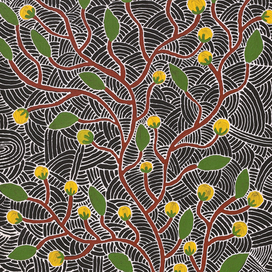 Aboriginal Artwork by Leah Nampijinpa Sampson, Wanakiji Jukurrpa (Bush Tomato Dreaming), 107x46cm