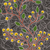 Aboriginal Artwork by Leah Nampijinpa Sampson, Wanakiji Jukurrpa (Bush Tomato Dreaming), 107x46cm