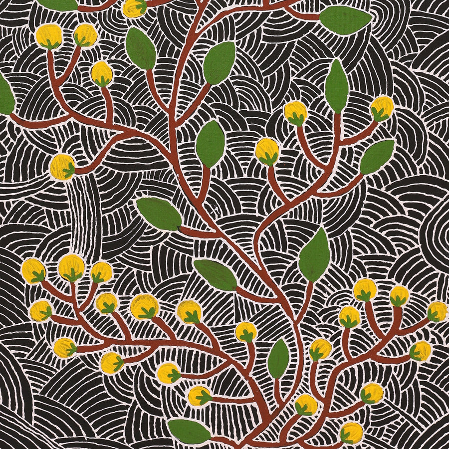 Aboriginal Artwork by Leah Nampijinpa Sampson, Wanakiji Jukurrpa (Bush Tomato Dreaming), 107x46cm
