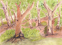 Aboriginal Artwork by Lenie Namatjira Lankin, Todd River where mob hangs out, 36x26cm