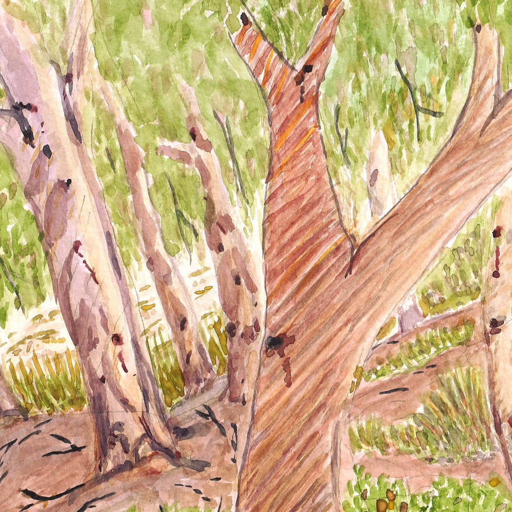 Aboriginal Artwork by Lenie Namatjira Lankin, Todd River where mob hangs out, 36x26cm