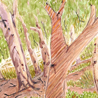 Aboriginal Artwork by Lenie Namatjira Lankin, Todd River where mob hangs out, 36x26cm