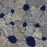 Aboriginal Artwork by Leonie Napaltjarri Kamutu, Papa Tjukurrpa (Dog Dreaming), 136x76cm