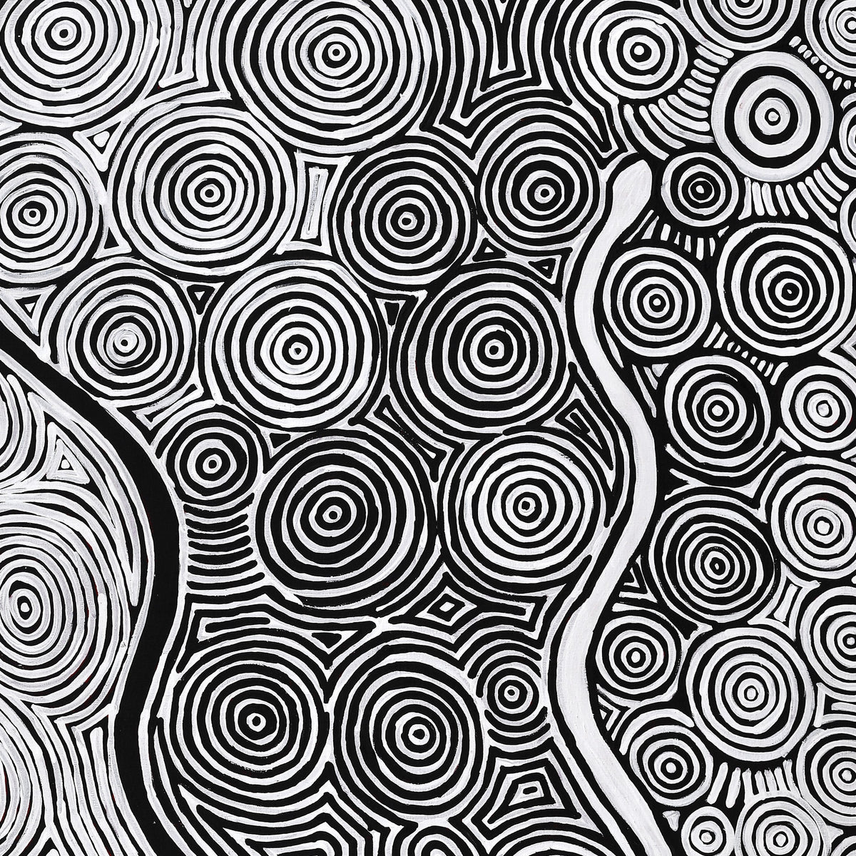 Aboriginal Art by Leston Japaljarri Spencer, Warna Jukurrpa (Snake Dreaming), 152x107cm - ART ARK®