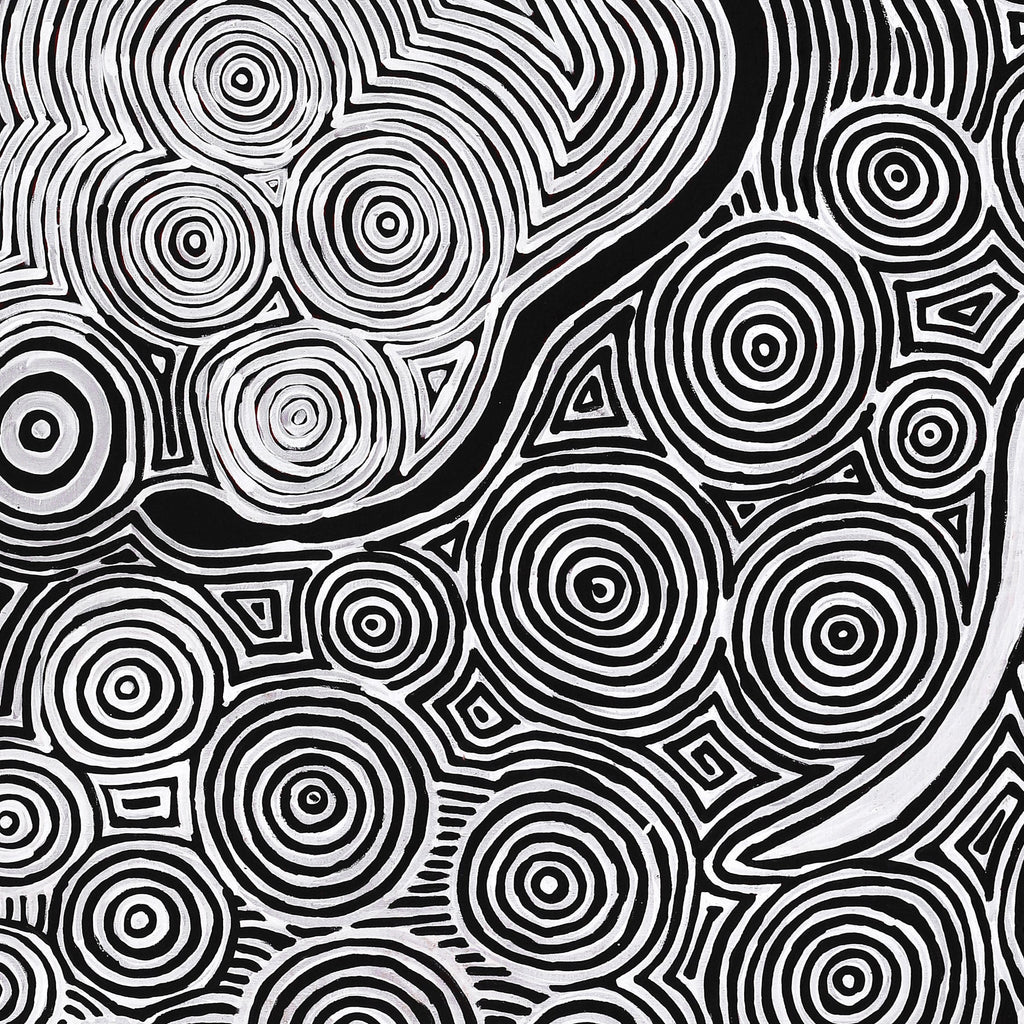 Aboriginal Art by Leston Japaljarri Spencer, Warna Jukurrpa (Snake Dreaming), 152x107cm - ART ARK®