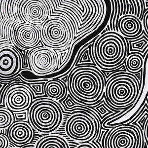 Aboriginal Artwork by Leston Japaljarri Spencer, Warna Jukurrpa (Snake Dreaming), 152x107cm - ART ARK®