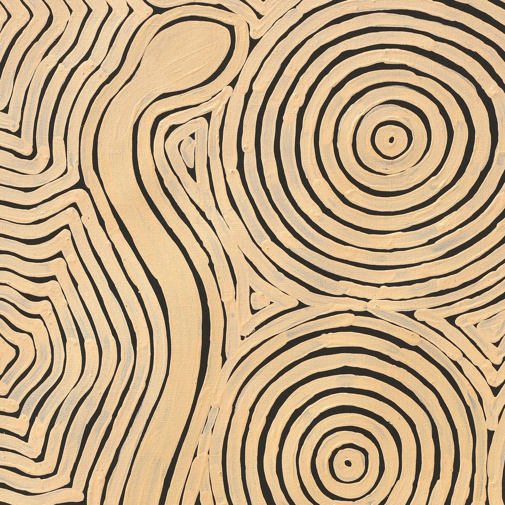 Aboriginal Artwork by Leston Japaljarri Spencer, Warna Jukurrpa (Snake Dreaming), 76x61cm
