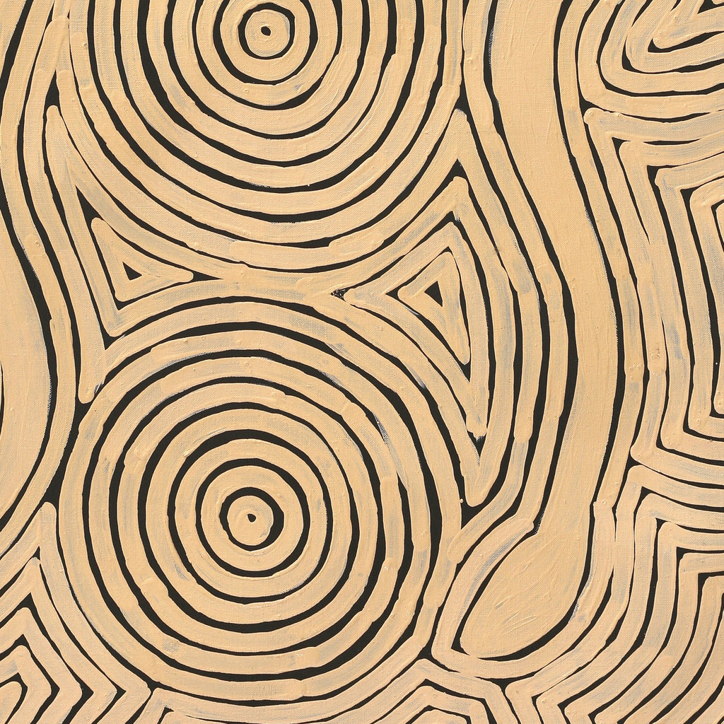Aboriginal Artwork by Leston Japaljarri Spencer, Warna Jukurrpa (Snake Dreaming), 76x61cm