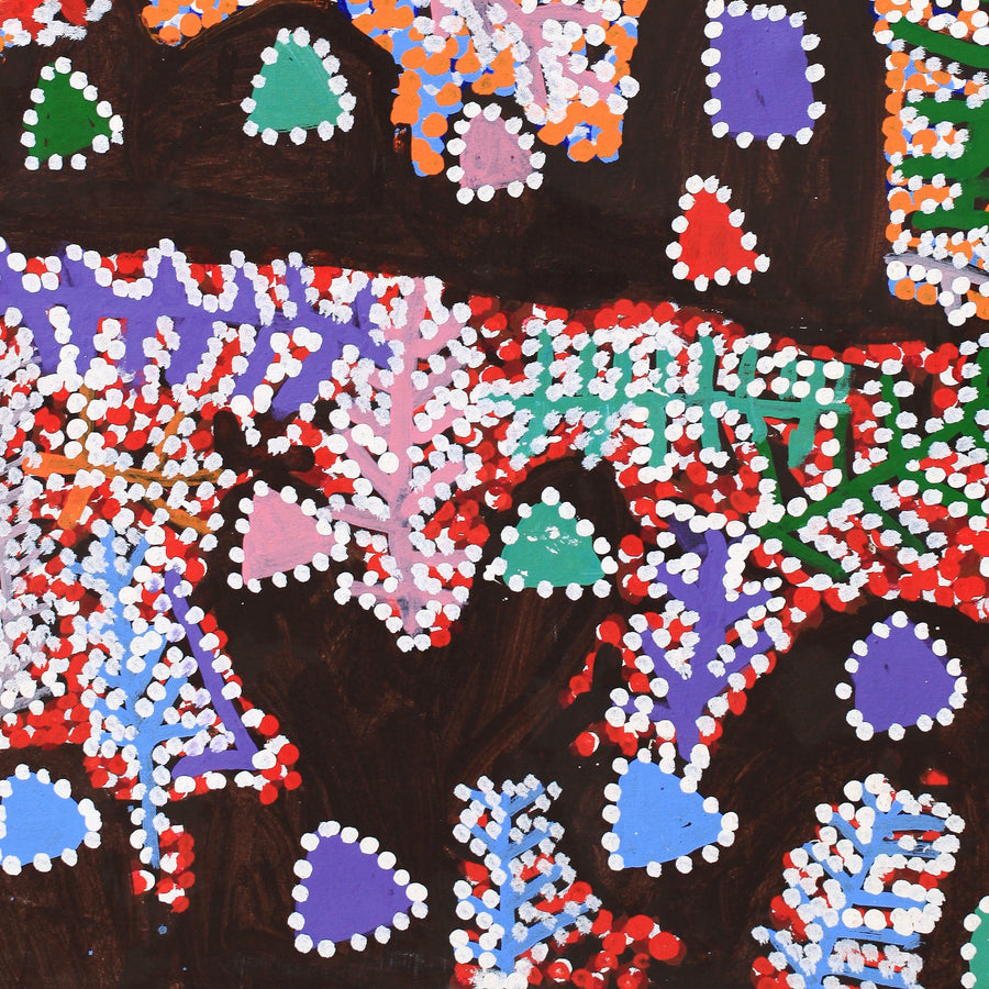 Aboriginal Artwork by Linda Ngitjanka, Alkipi Country, 116x71cm