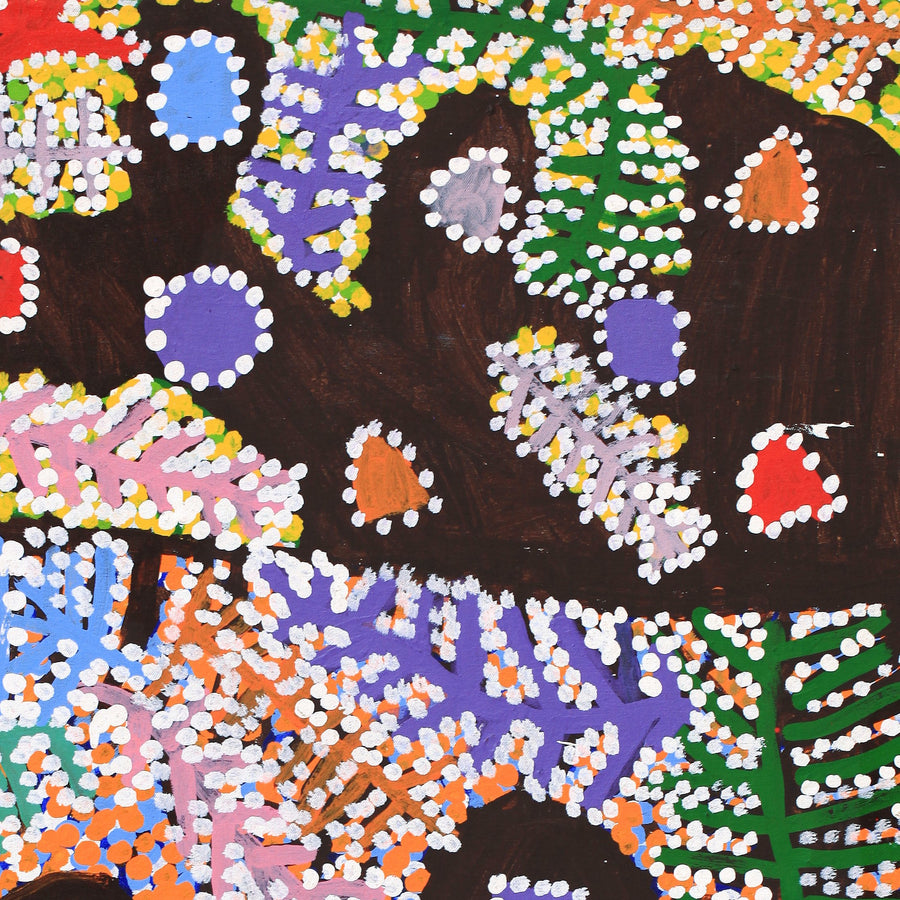 Aboriginal Artwork by Linda Ngitjanka, Alkipi Country, 116x71cm