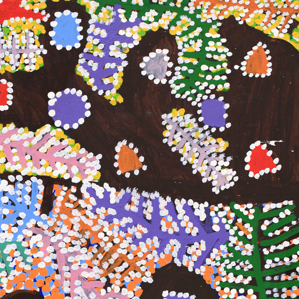 Aboriginal Artwork by Linda Ngitjanka, Alkipi Country, 116x71cm - ART ARK®