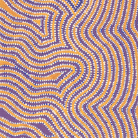 Aboriginal Artwork by Lisa Multa, Tali at Kungkayunti, 100x40cm