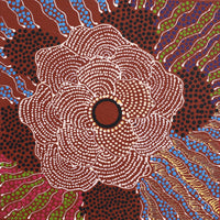Aboriginal Artwork by Lisa Nampijinpa Cook, Yarla Jukurrpa (Bush Potato Dreaming) - Cockatoo Creek, 30x30cm