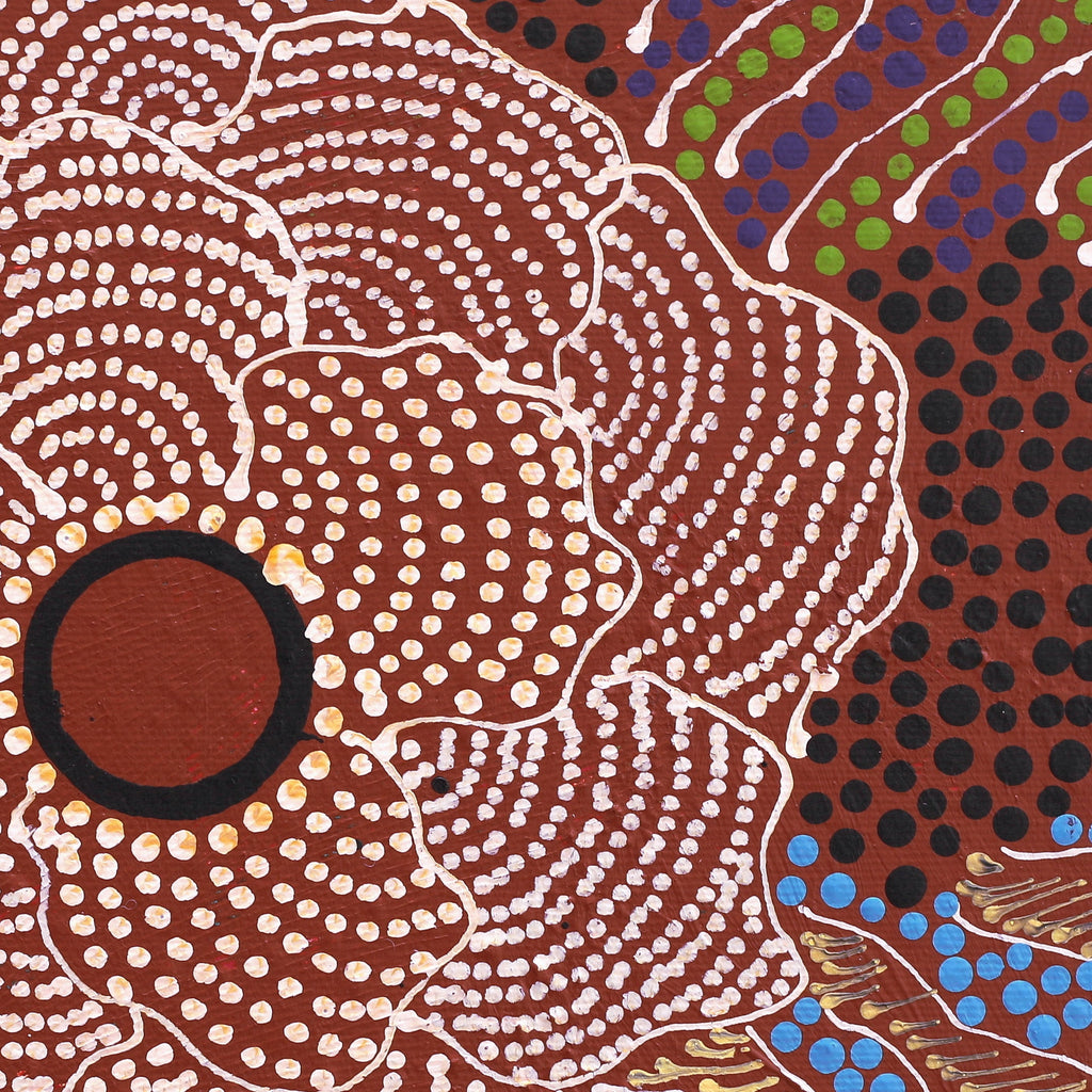 Aboriginal Artwork by Lisa Nampijinpa Cook, Yarla Jukurrpa (Bush Potato Dreaming) - Cockatoo Creek, 30x30cm