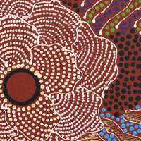 Aboriginal Artwork by Lisa Nampijinpa Cook, Yarla Jukurrpa (Bush Potato Dreaming) - Cockatoo Creek, 30x30cm