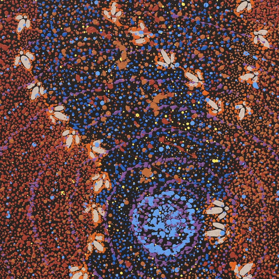 Aboriginal Artwork by Lloyd Jampijinpa Brown, Yankirri Jukurrpa (Emu Dreaming) - Ngarlikurlangu, 107x46cm