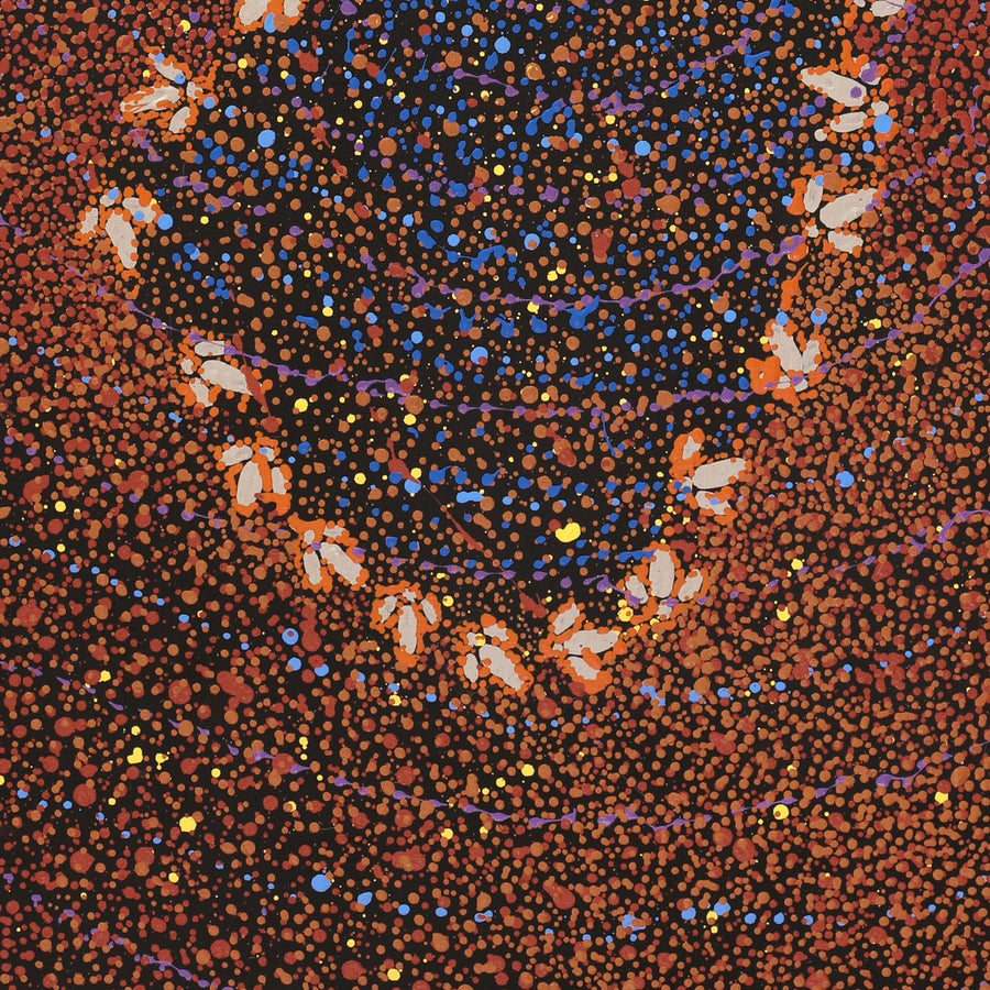 Aboriginal Artwork by Lloyd Jampijinpa Brown, Yankirri Jukurrpa (Emu Dreaming) - Ngarlikurlangu, 107x46cm
