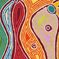 Aboriginal Artwork by Louise Napangardi Watson, Mina Mina Jukurrpa, 61x46cm