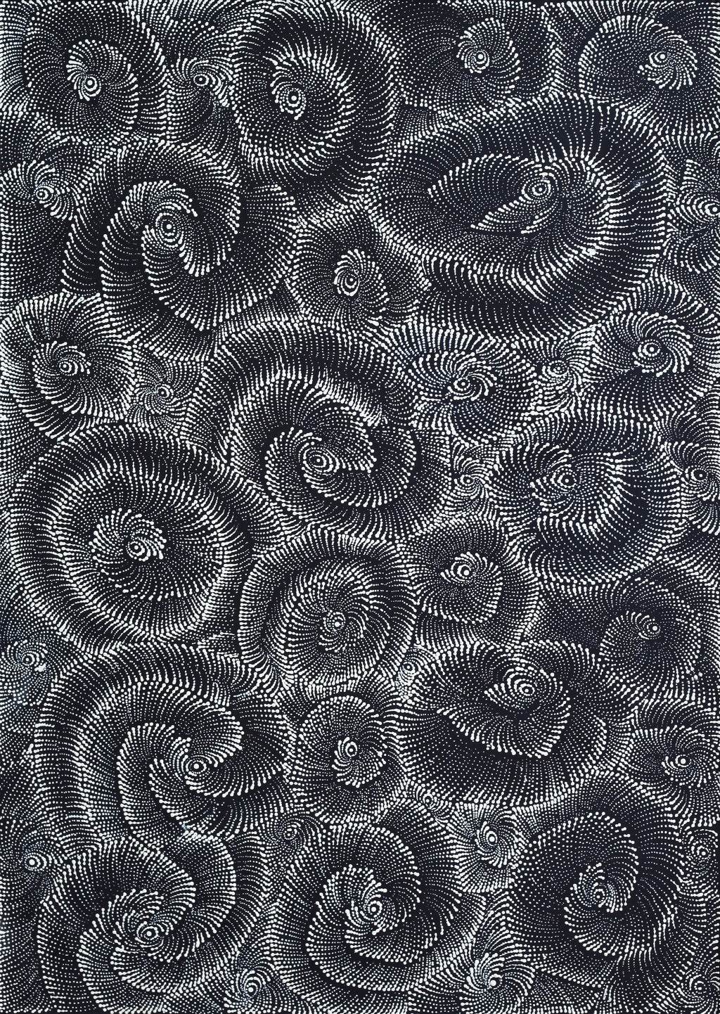 Aboriginal Artwork by Maria Nampijinpa Brown, Pamapardu Jukurrpa (Flying Ant Dreaming) - Warntungurru, 61x30cm
