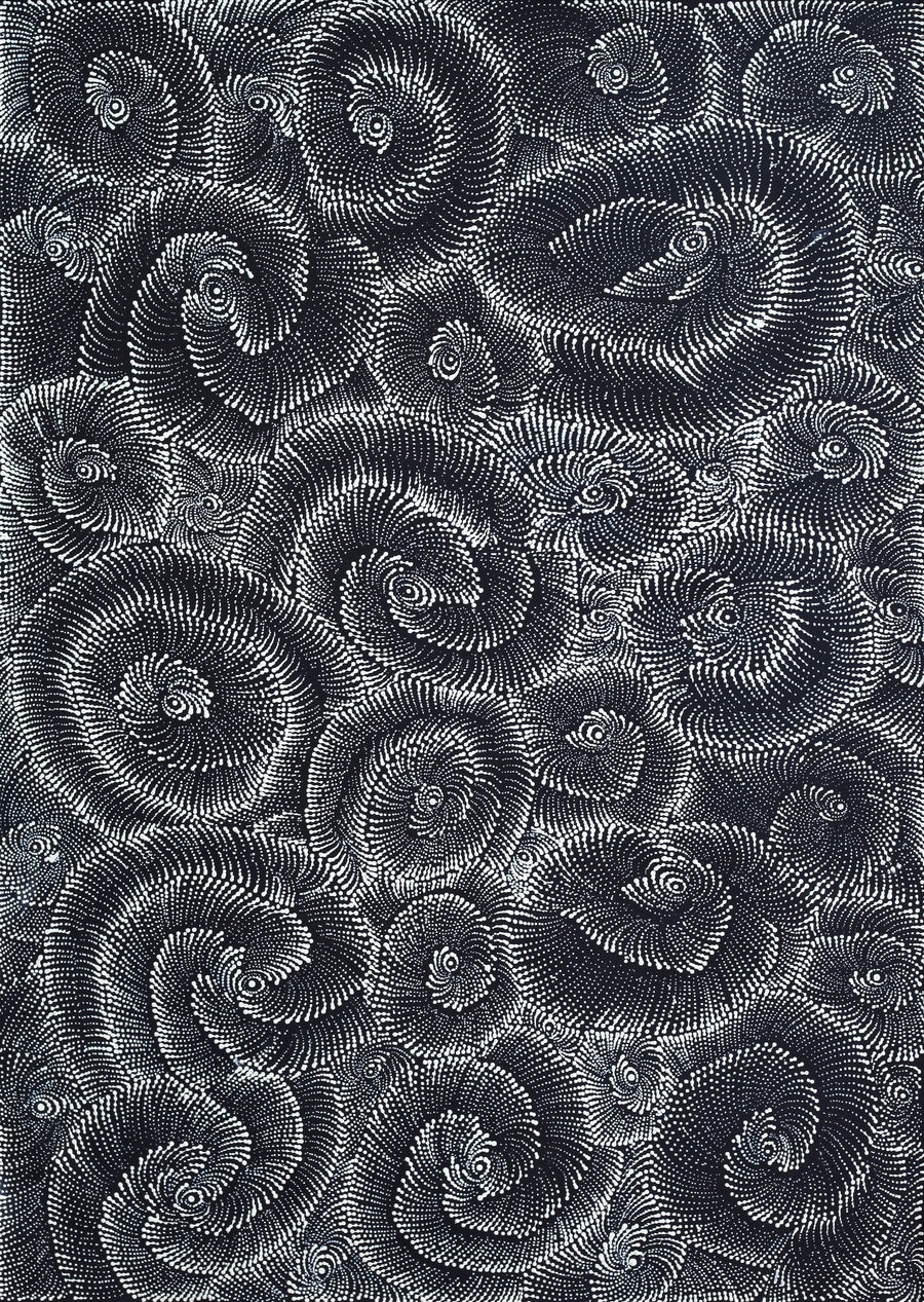 Aboriginal Artwork by Maria Nampijinpa Brown, Pamapardu Jukurrpa (Flying Ant Dreaming) - Warntungurru, 61x30cm