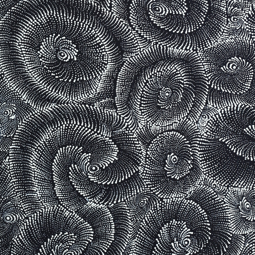 Aboriginal Artwork by Maria Nampijinpa Brown, Pamapardu Jukurrpa (Flying Ant Dreaming) - Warntungurru, 61x30cm