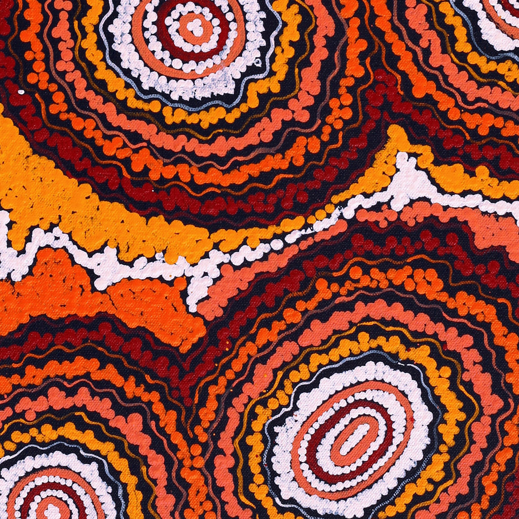 Aboriginal Artwork by Maria Nampijinpa Brown, Pamapardu Jukurrpa (Flying Ant Dreaming) - Warntungurru, 61x30cm