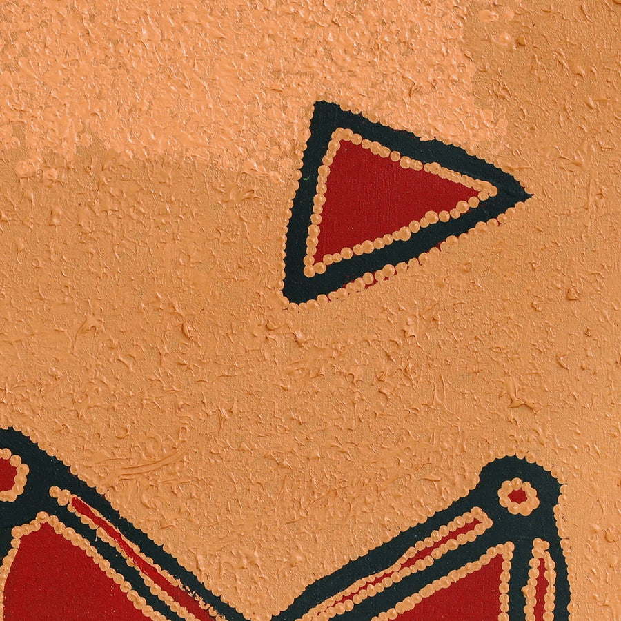 Aboriginal Artwork by Maxie Jampijinpa Pollard, Ngapa Jukurrpa (Water Dreaming) - Mikanji, 61x61cm