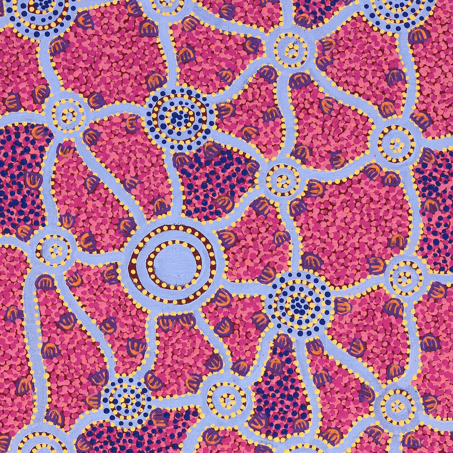 Aboriginal Artwork by Melissa Napangardi Williams, Wardapi Jukurrpa (Goanna Dreaming) - Yarripilangu,122x46cm