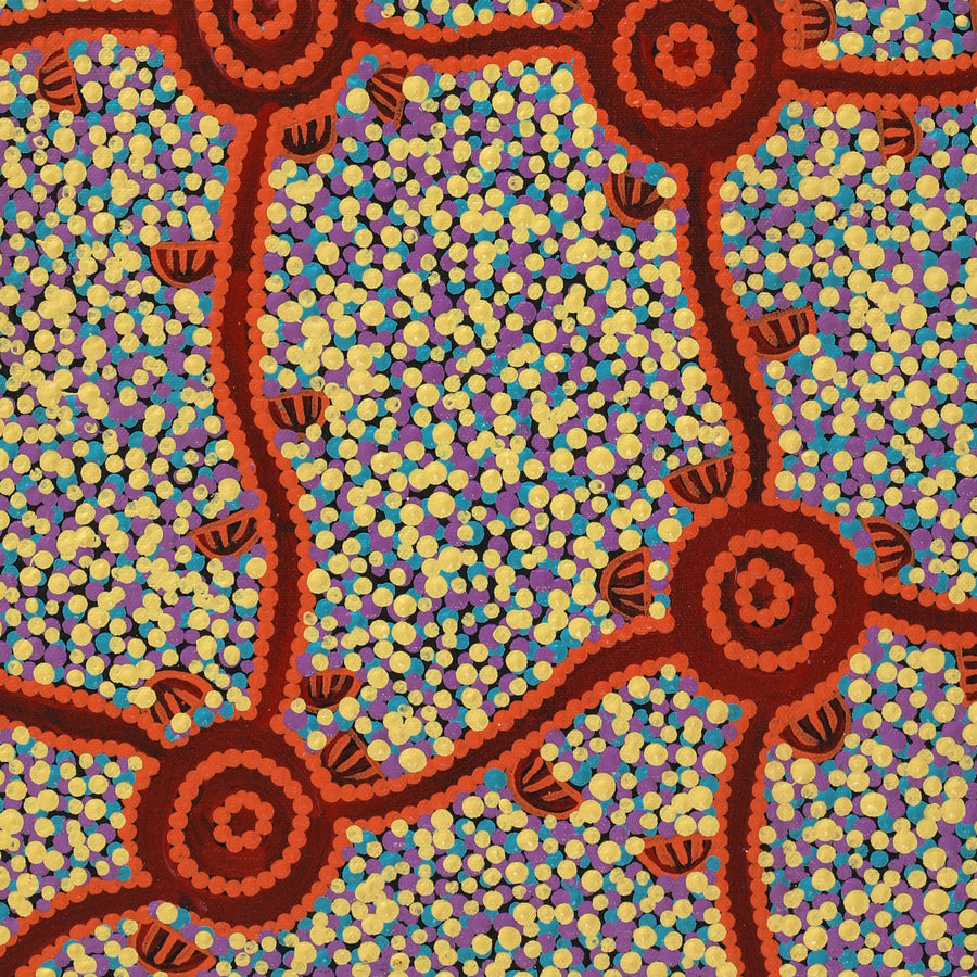 Aboriginal Artwork by Melissa Napangardi Williams, Wardapi Jukurrpa (Goanna Dreaming) - Yarripilangu, 61x30cm