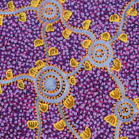 Aboriginal Artwork by Melissa Napangardi Williams, Wardapi Jukurrpa (Goanna Dreaming) - Yarripilangu, 61x30cm