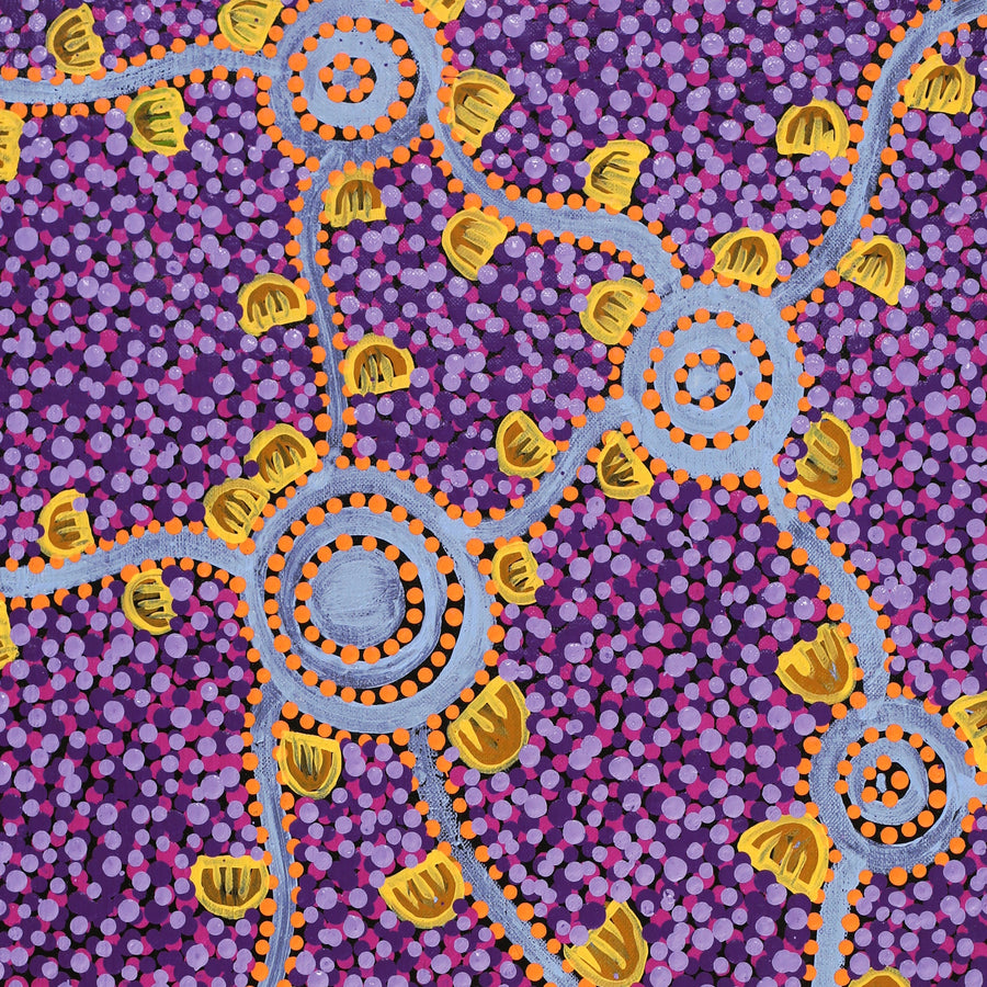 Aboriginal Artwork by Melissa Napangardi Williams, Wardapi Jukurrpa (Goanna Dreaming) - Yarripilangu, 61x30cm