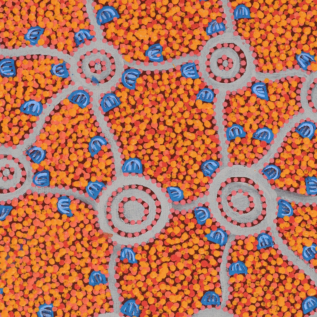 Aboriginal Artwork by Melissa Napangardi Williams, Wardapi Jukurrpa (Goanna Dreaming) - Yarripilangu,76x46cm