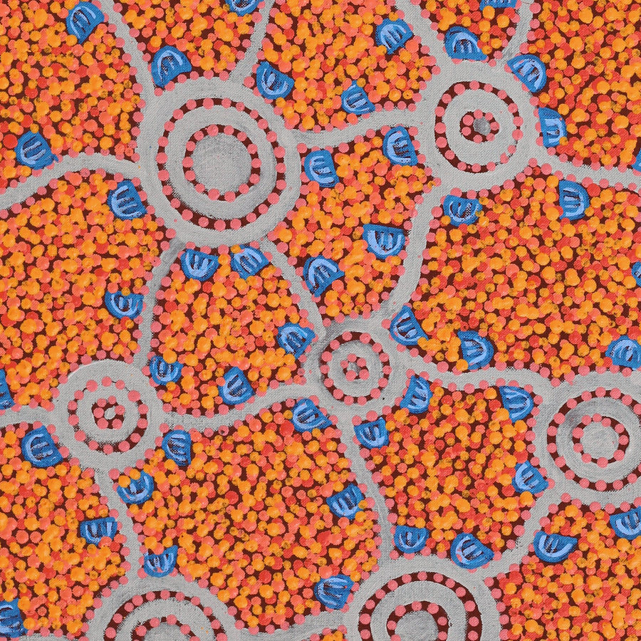 Aboriginal Artwork by Melissa Napangardi Williams, Wardapi Jukurrpa (Goanna Dreaming) - Yarripilangu,76x46cm