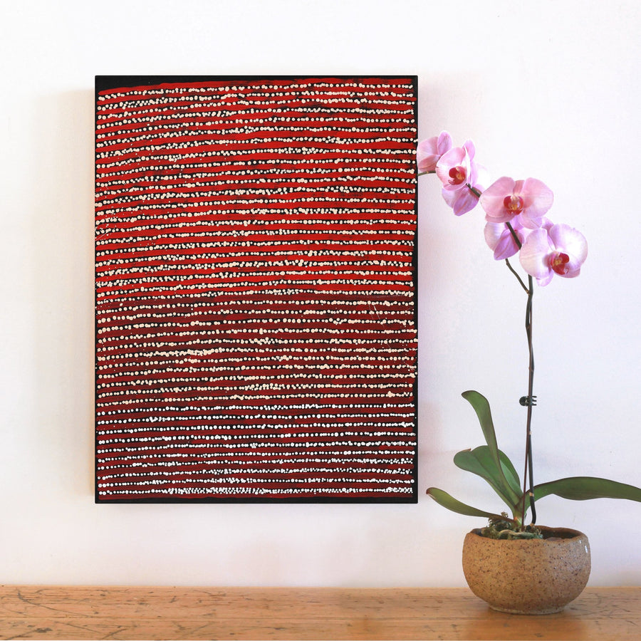 Aboriginal Artwork by Mitchell Japanangka Martin, Mina Mina Jukurrpa, 61x46cm