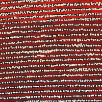 Aboriginal Artwork by Mitchell Japanangka Martin, Mina Mina Jukurrpa, 61x46cm