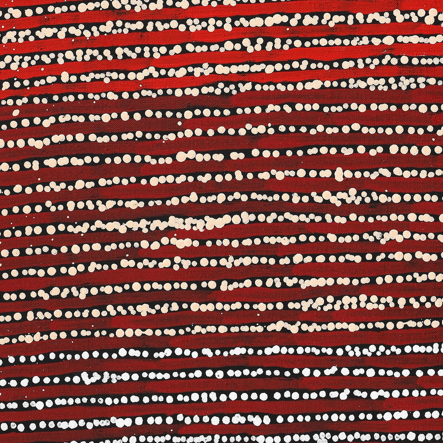 Aboriginal Artwork by Mitchell Japanangka Martin, Mina Mina Jukurrpa, 61x46cm